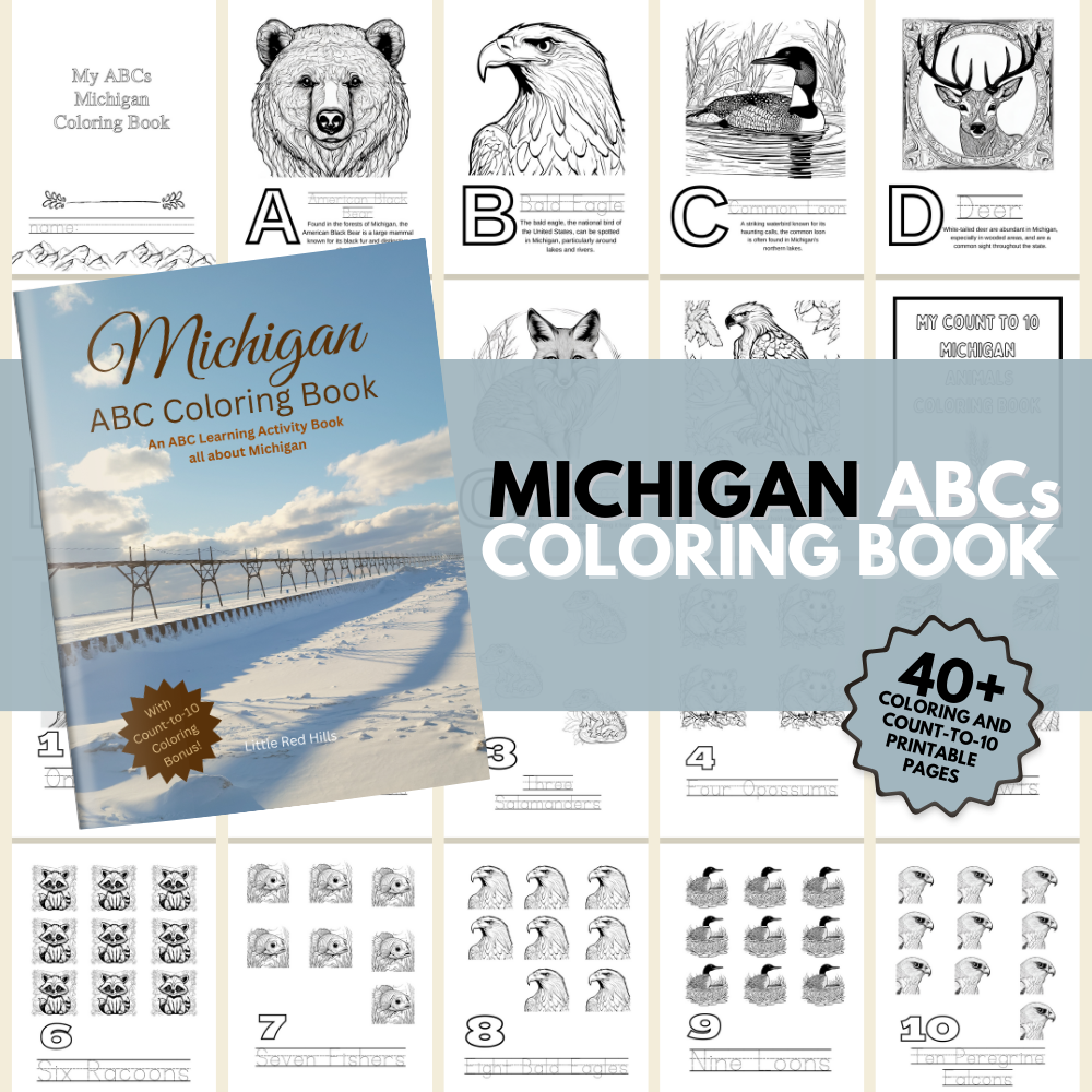 My Michigan ABCs Coloring Book: An ABC Learning and Coloring Kids Activity Book All about Michigan