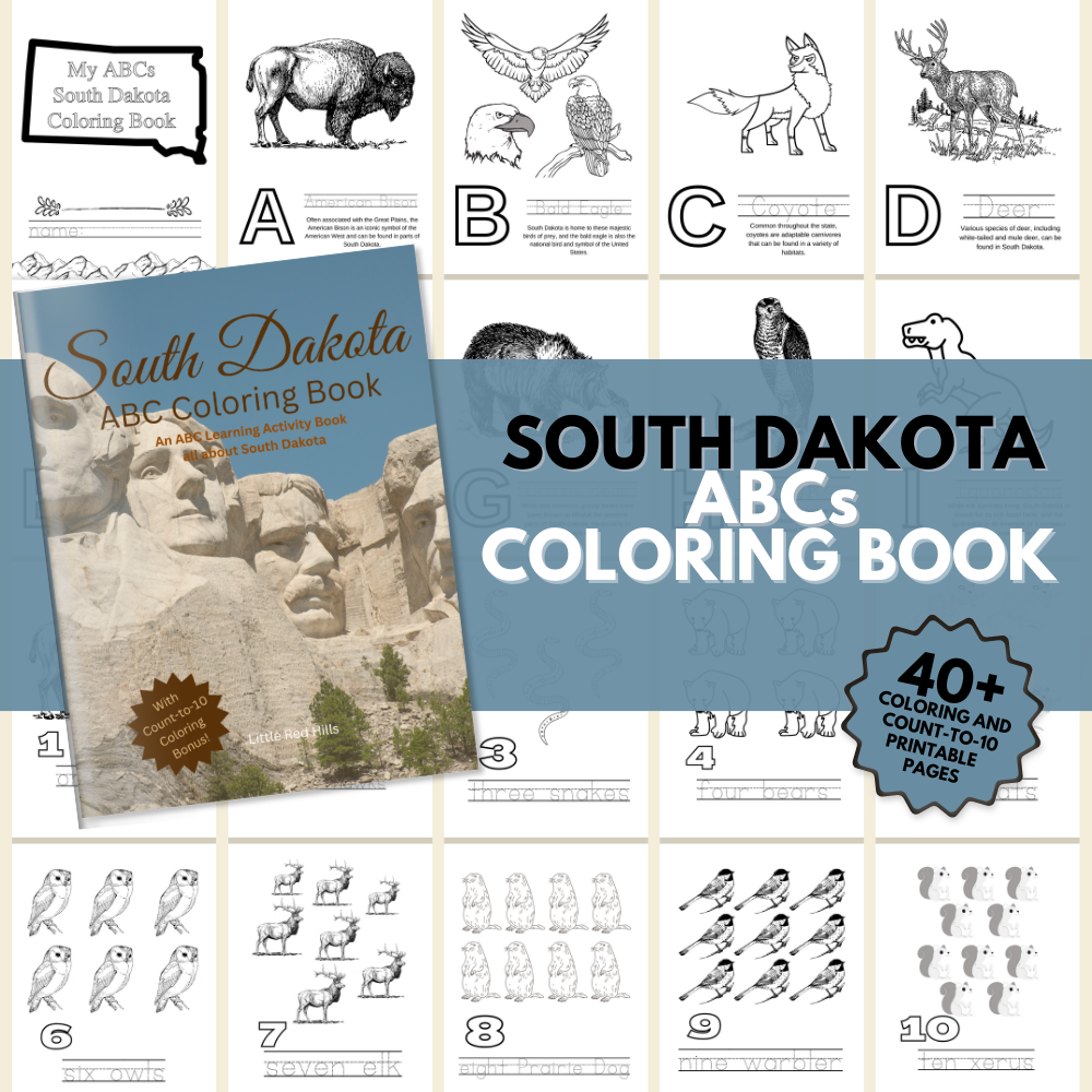 My South Dakota ABCs Coloring Book: An ABC Learning and Coloring Kids Activity Book All about South Dakota