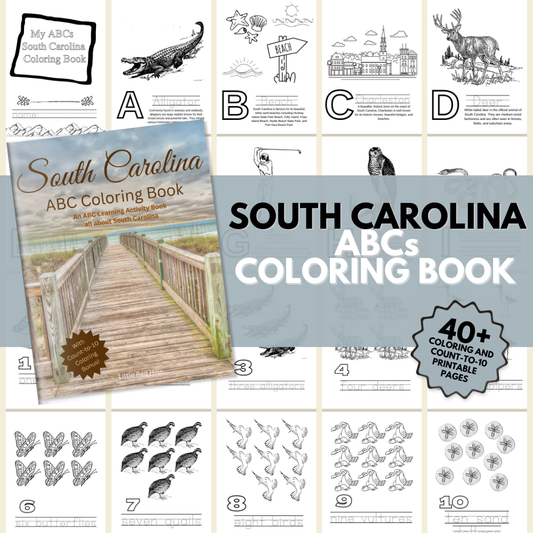 My South Carolina ABCs Coloring Book: An ABC Learning and Coloring Kids Activity Book all about South Carolina