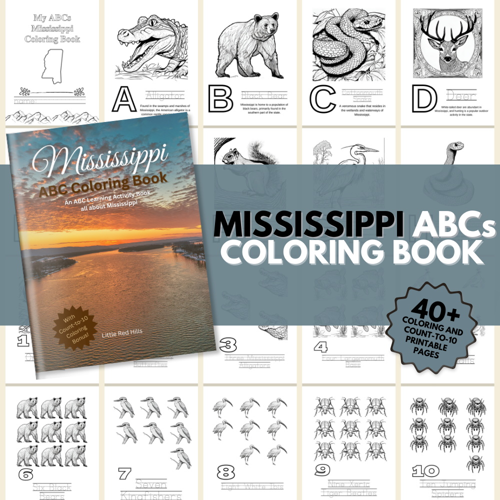 My Mississippi ABCs Coloring Book: An ABC Learning and Coloring Kids Activity Book All about Mississippi