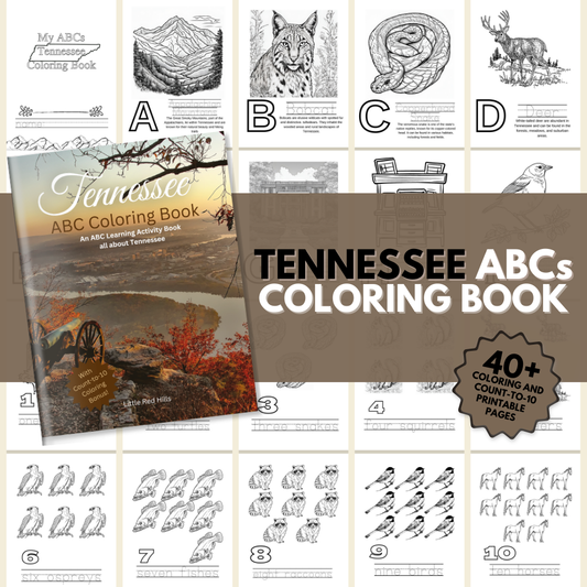 My Tennessee ABCs Coloring Book: An ABC Learning and Coloring Kids Activity Book All about Tennessee