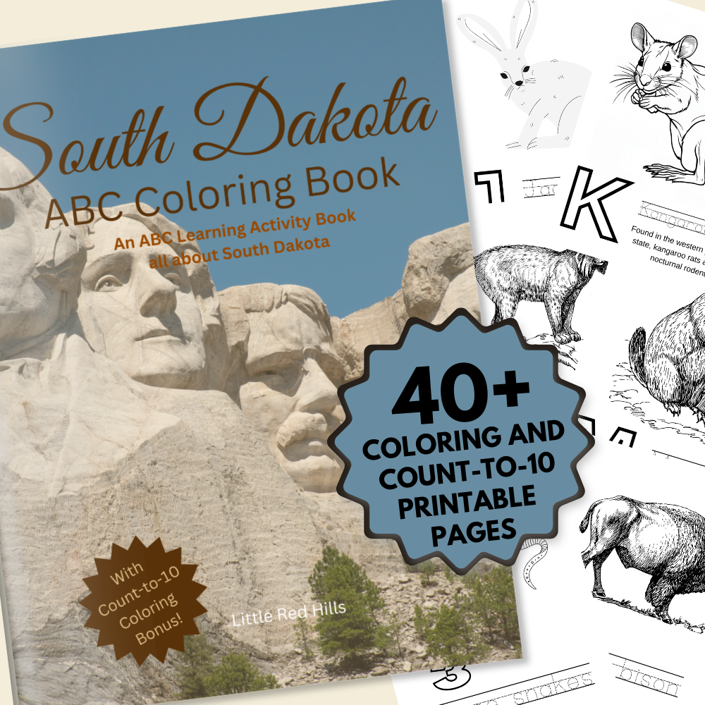 My South Dakota ABCs Coloring Book: An ABC Learning and Coloring Kids Activity Book All about South Dakota