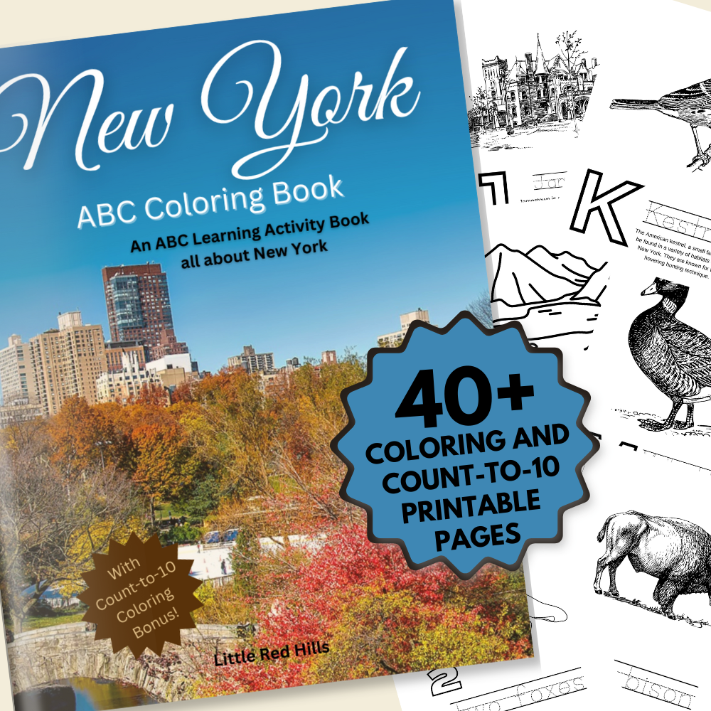My New York ABCs Coloring Book: An ABC Learning and Coloring Kids Activity Book All about New York