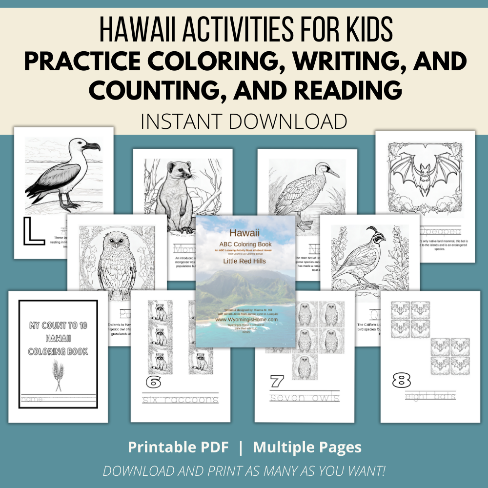 My Hawaii ABCs Coloring Book: An ABC Learning Activity Book All about Hawaii