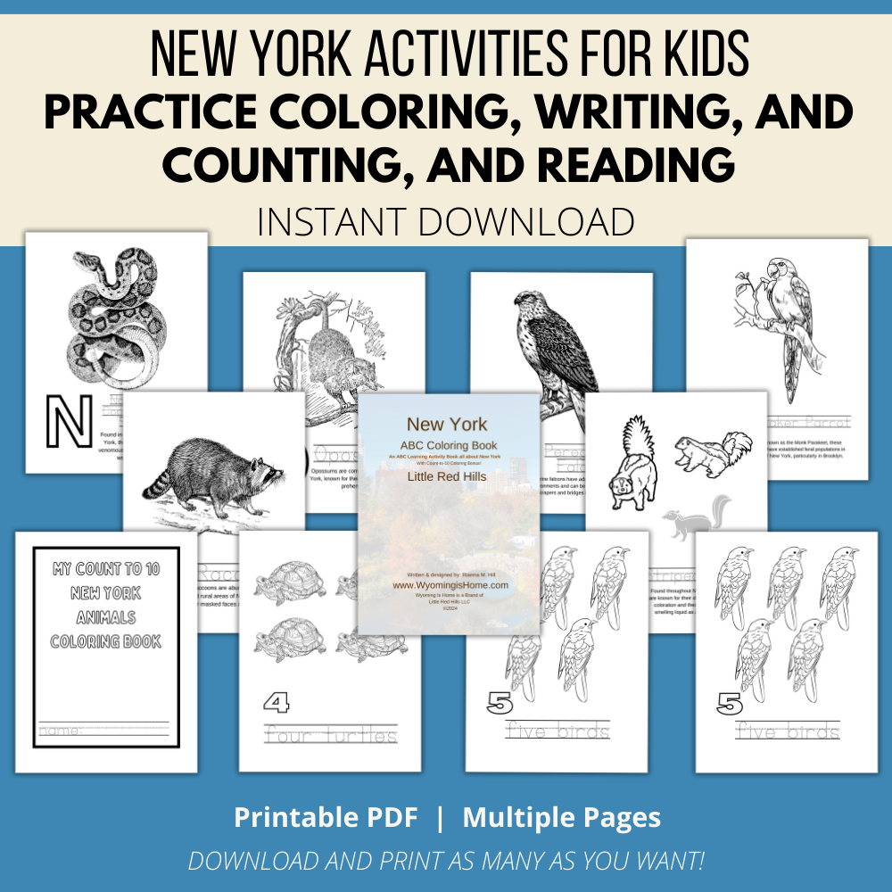 My New York ABCs Coloring Book: An ABC Learning and Coloring Kids Activity Book All about New York