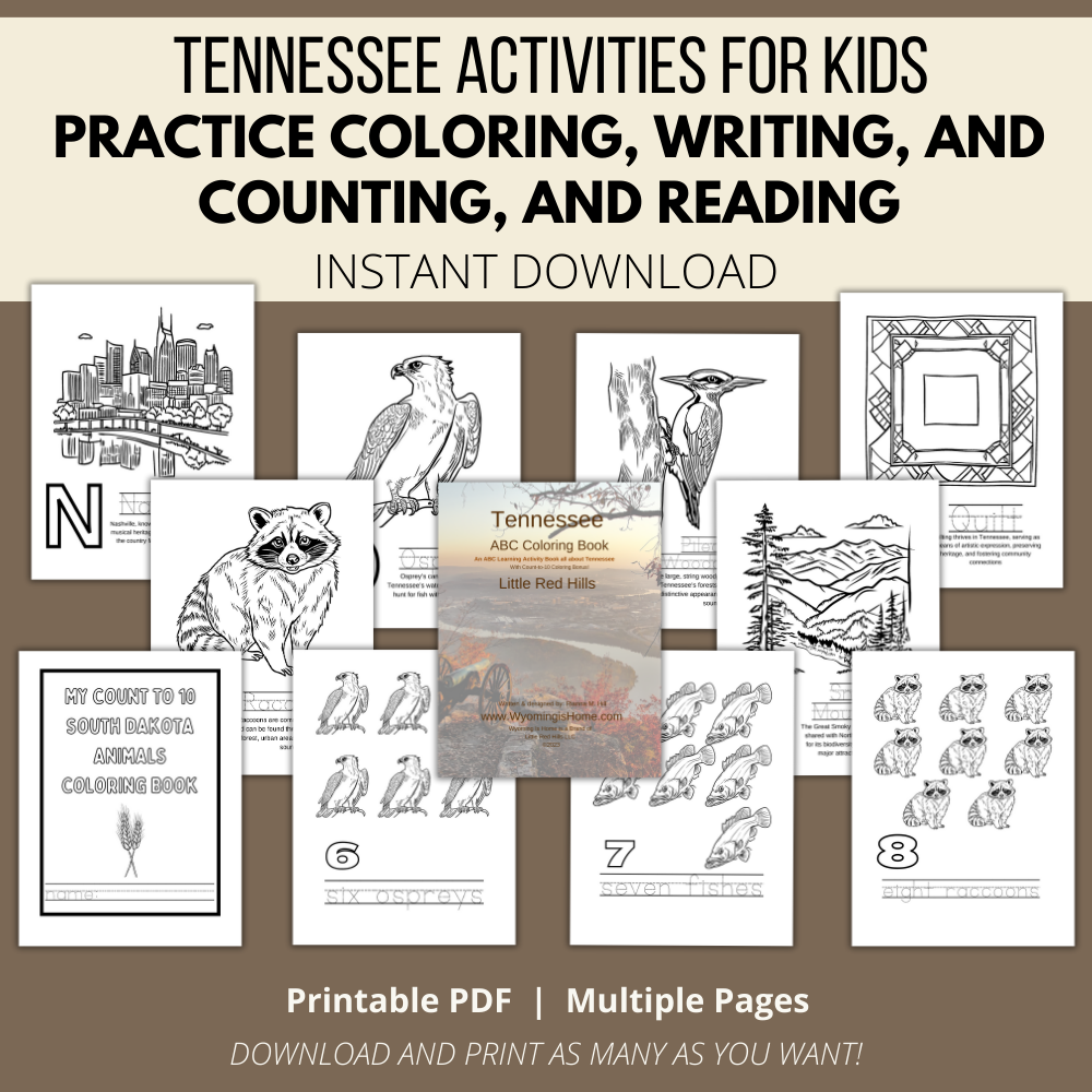 My Tennessee ABCs Coloring Book: An ABC Learning and Coloring Kids Activity Book All about Tennessee