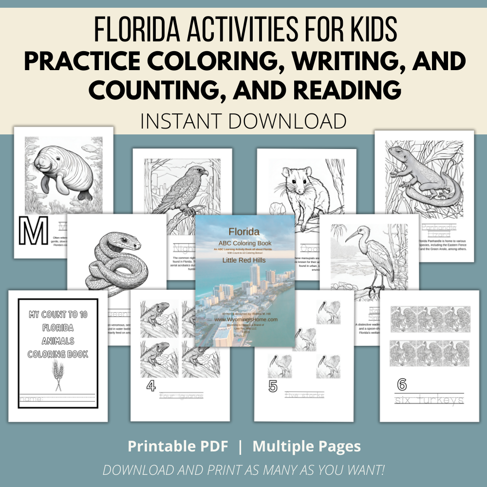 My Florida ABCs Coloring Book: An ABC Learning Activity Book All about Florida