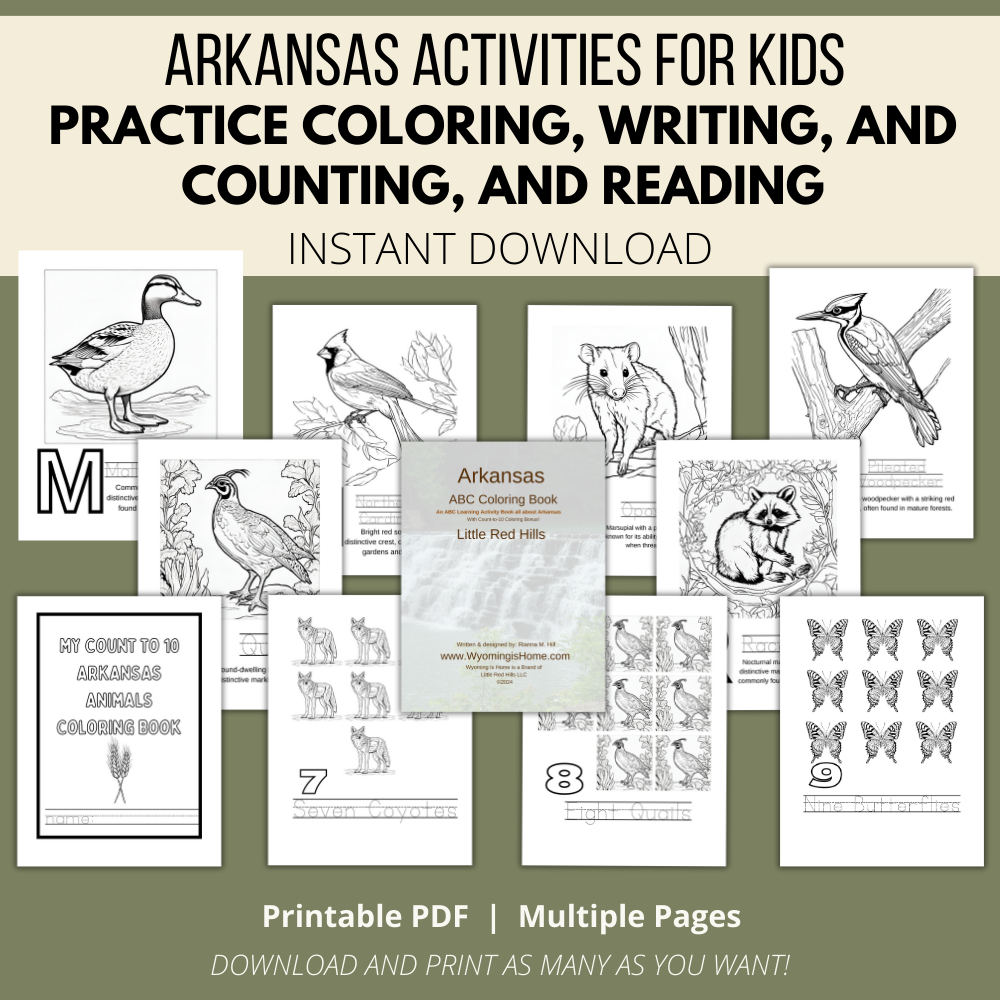 My Arkansas ABCs Coloring Book: An ABC Learning and Coloring Kids Activity Book All about Arkansas