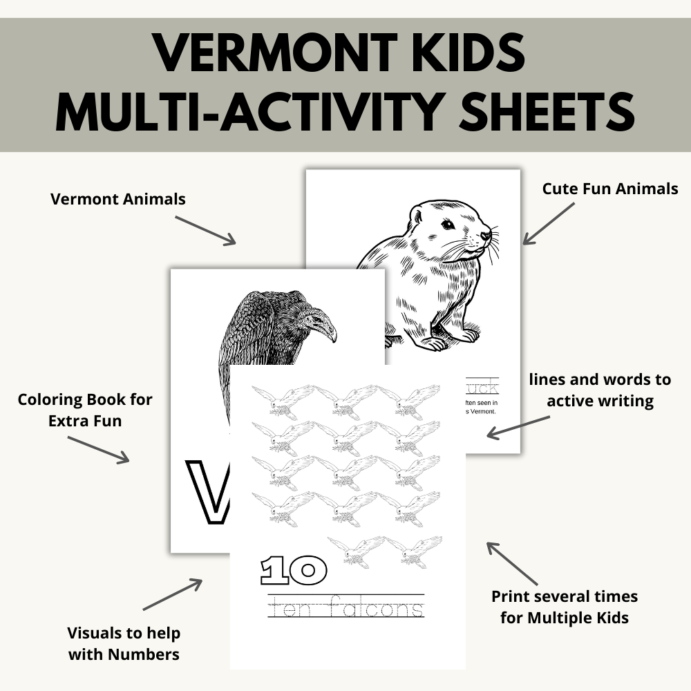 My Vermont ABCs Coloring Book: An ABC Learning and Coloring Kids Activity Book All about Vermont