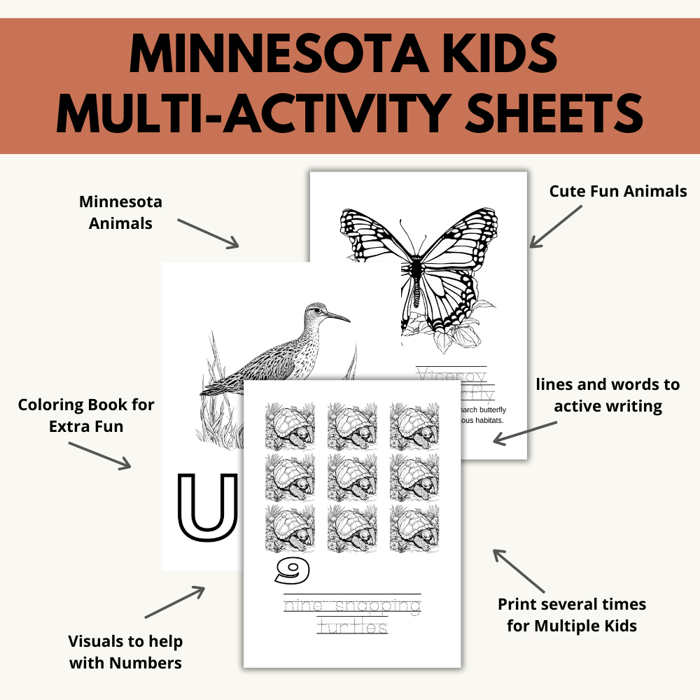 My Minnesota ABCs Coloring Book: An ABC Learning and Coloring Kids Activity Book All about Minnesota