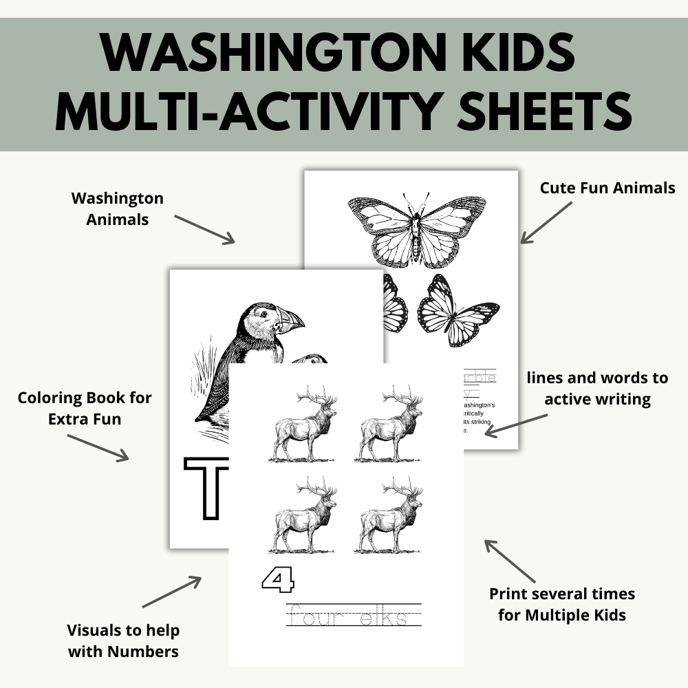 My Washington ABCs Coloring Book: An ABC Learning Activity Book All about Washington