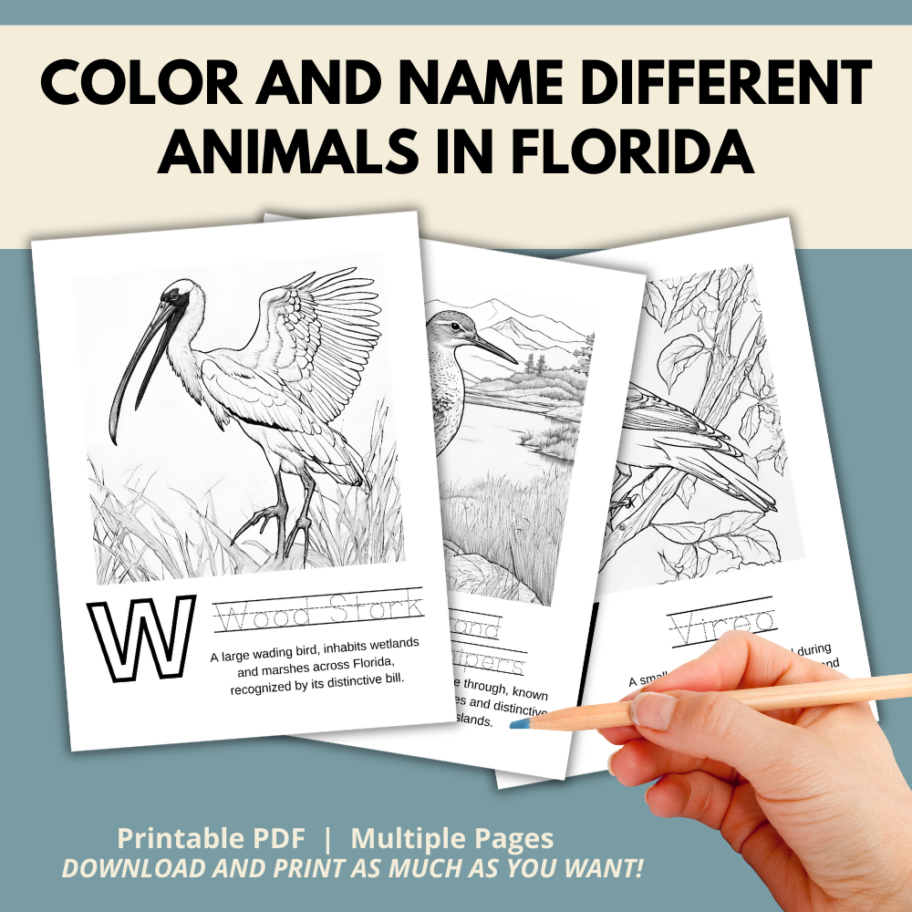My Florida ABCs Coloring Book: An ABC Learning Activity Book All about Florida
