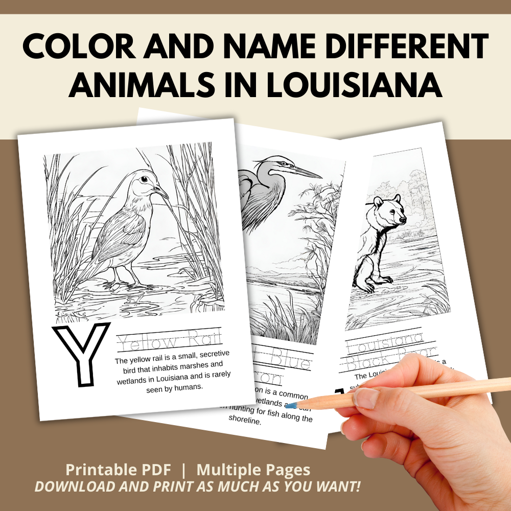 My Louisiana ABCs Coloring Book: An ABC Learning and Coloring Kids Activity Book All about Louisiana