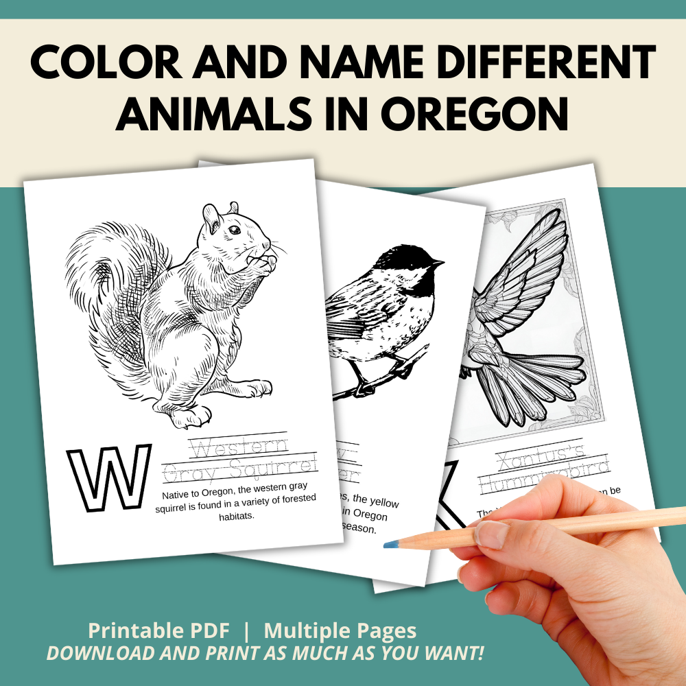 My Oregon ABCs Coloring Book: An ABC Learning and Coloring Kids Activity Book All about Oregon