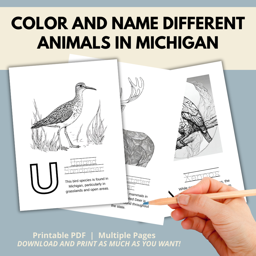 My Michigan ABCs Coloring Book: An ABC Learning and Coloring Kids Activity Book All about Michigan